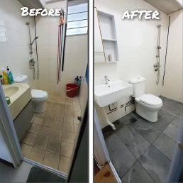 Overlay Toilet Tiles